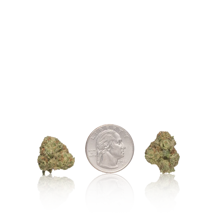 Bulk Exotic Smalls — Full Pound