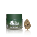 Exotic Cannabis Flower — 3.5G