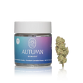 Premium Cannabis Flower 1/8