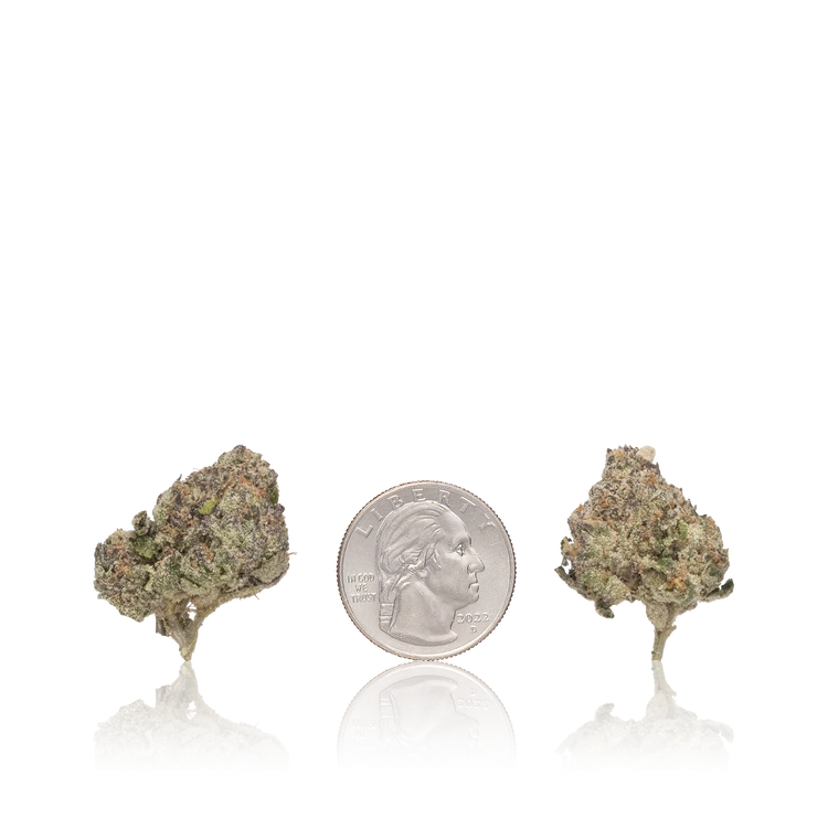 Bulk Exotic — Full Pound