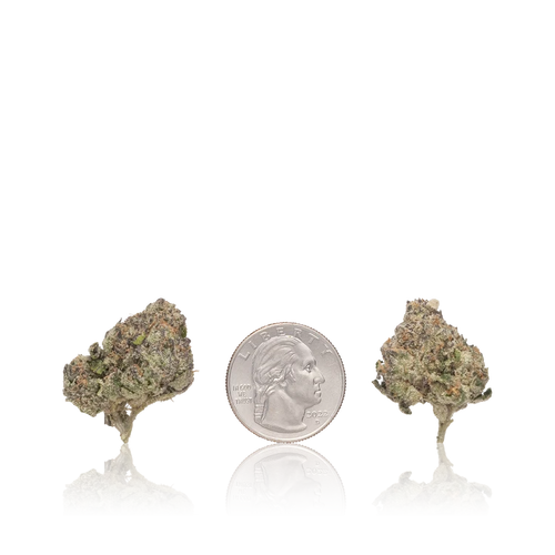 Bulk Exotic — Full Pound