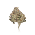 Bulk Exotic — Full Pound