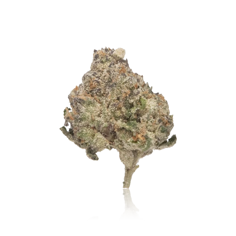 Bulk Exotic — Full Pound