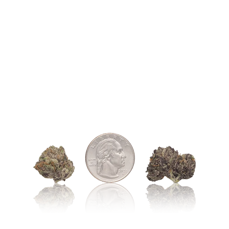 Bulk Premium Smalls — Full Pound