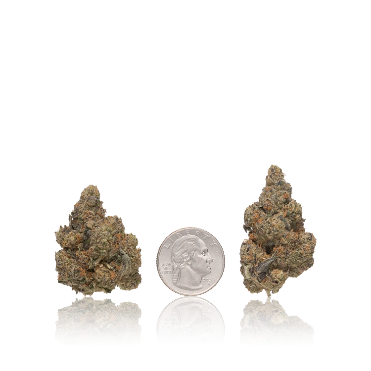 Bulk Premium — Full Pound
