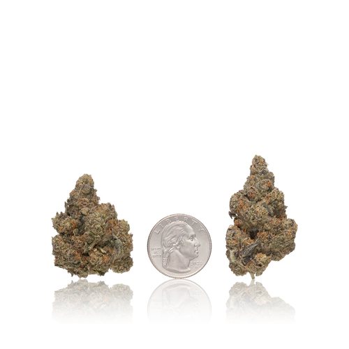 Bulk Premium — Full Pound