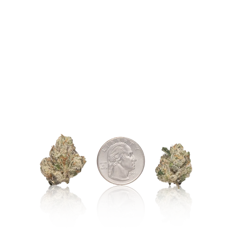 Bulk Exotic Smalls — Full Pound