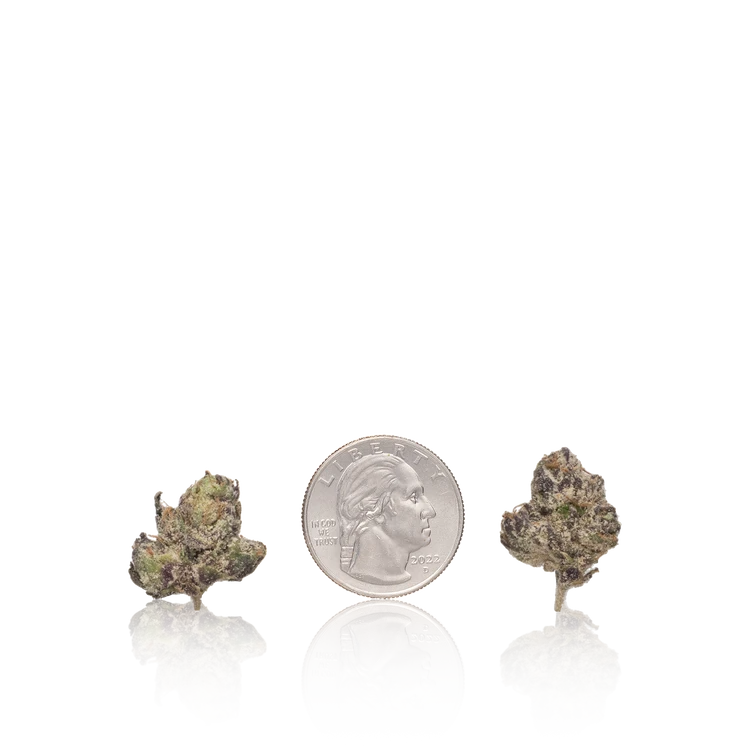 Bulk Exotic Smalls — Full Pound