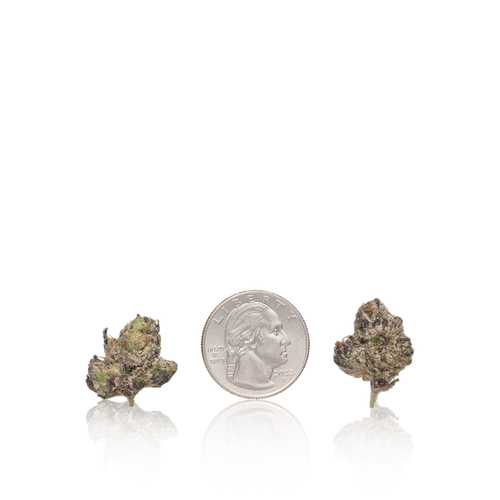 Bulk Exotic Smalls — Full Pound