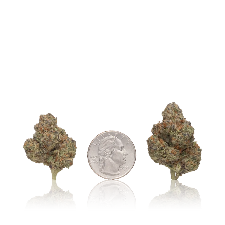 Value Flower — Ounce