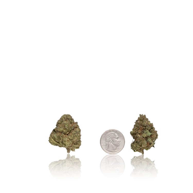 Bulk Value — Full Pound
