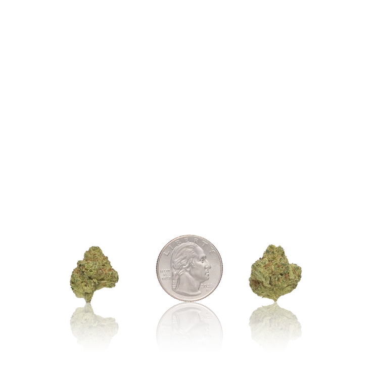 Bulk Premium Smalls — Full Pound