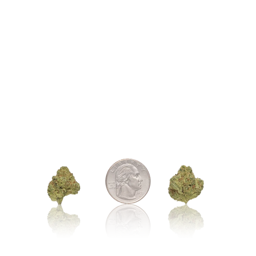 Bulk Premium Smalls — Full Pound