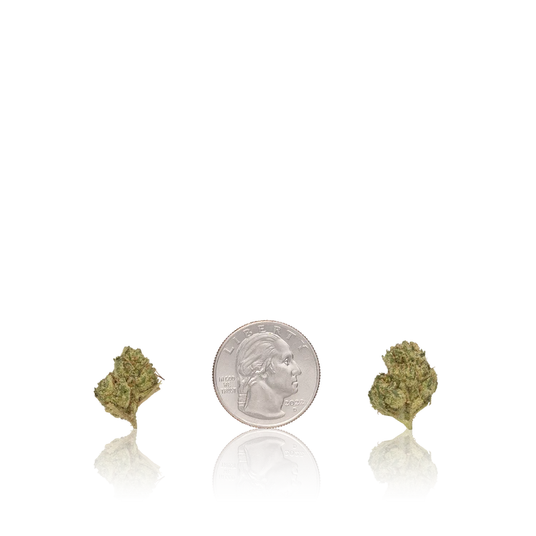 Bulk Premium Smalls — Full Pound