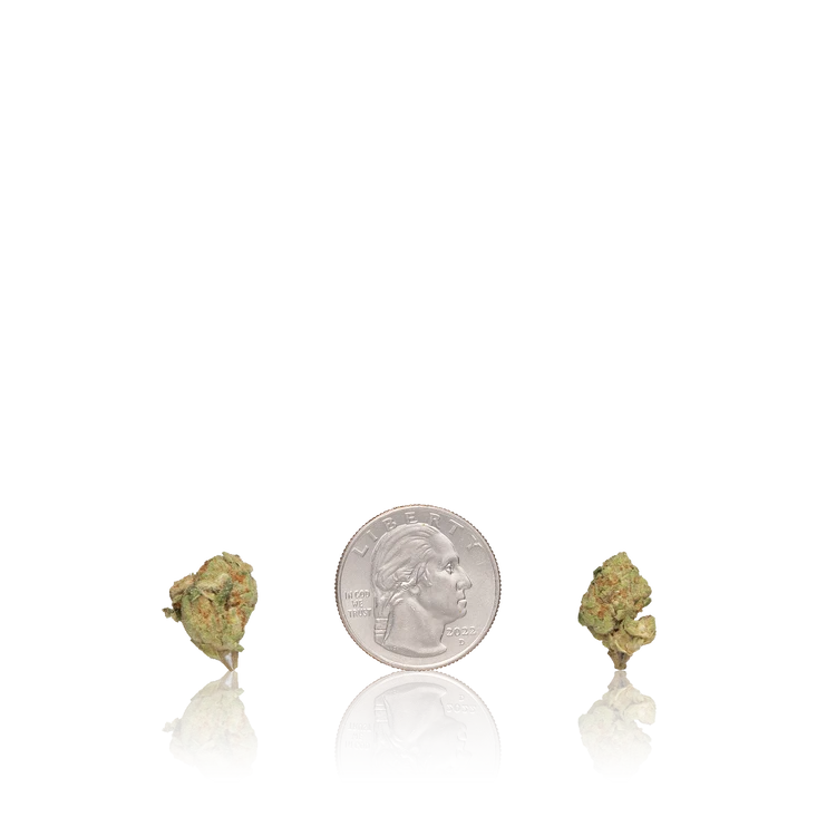 Budget Smalls — Ounce