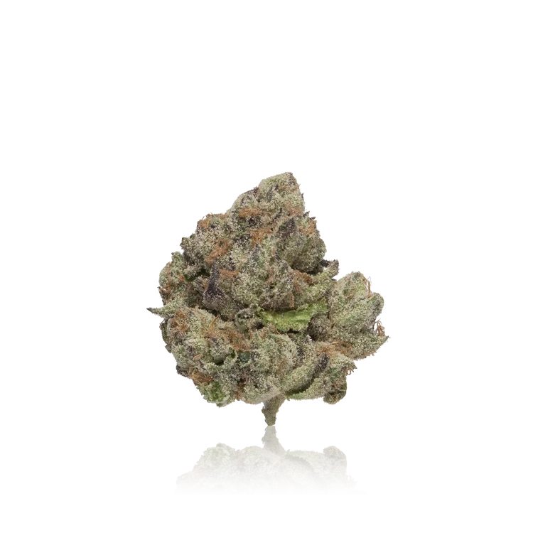 Premium Flower
