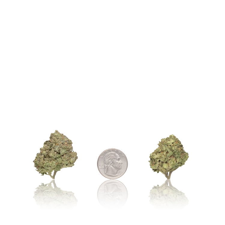 Bulk Value — Full Pound