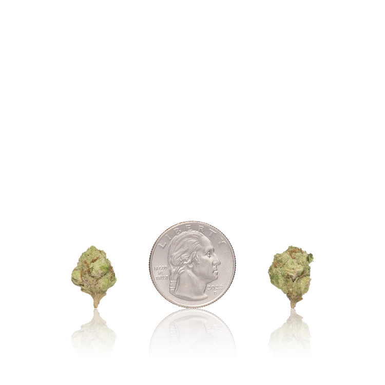 Budget Smalls — Ounce