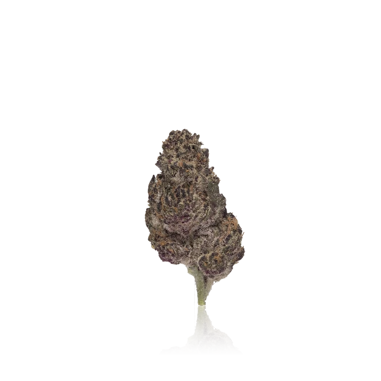 Premium Flower