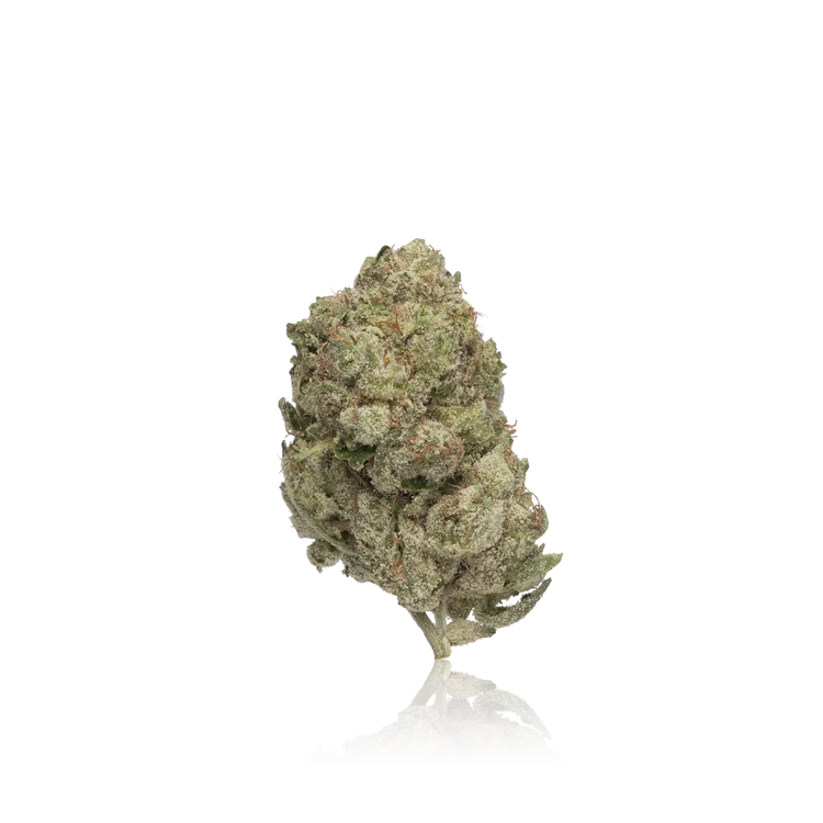 Premium Flower