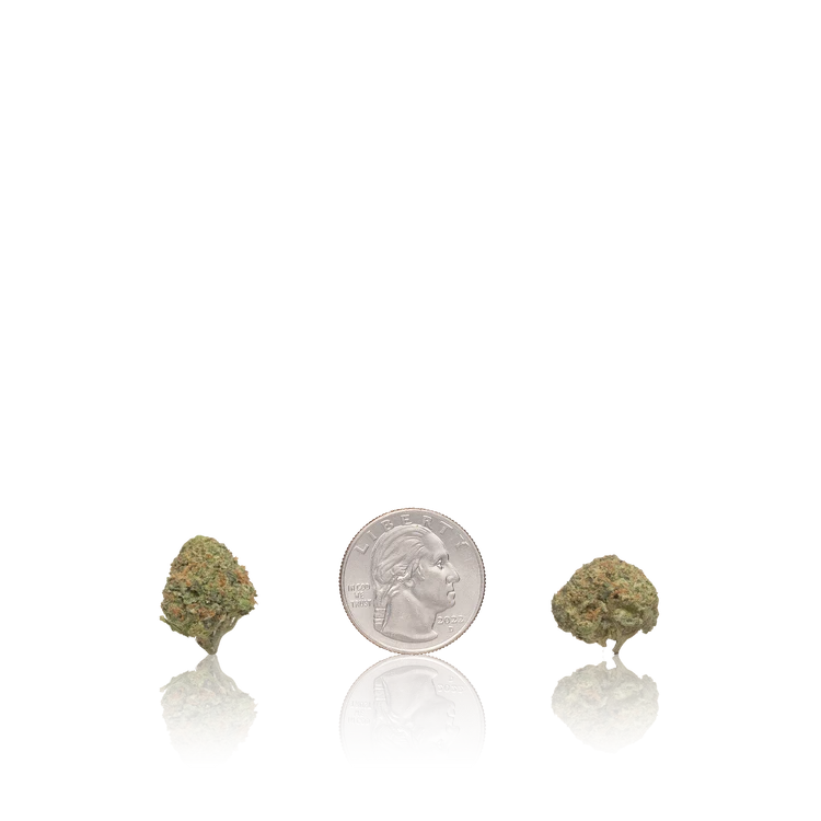 Budget Smalls — Ounce