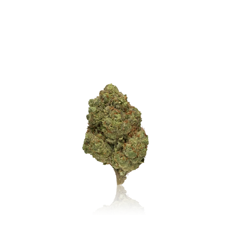 Bulk Premium — Full Pound