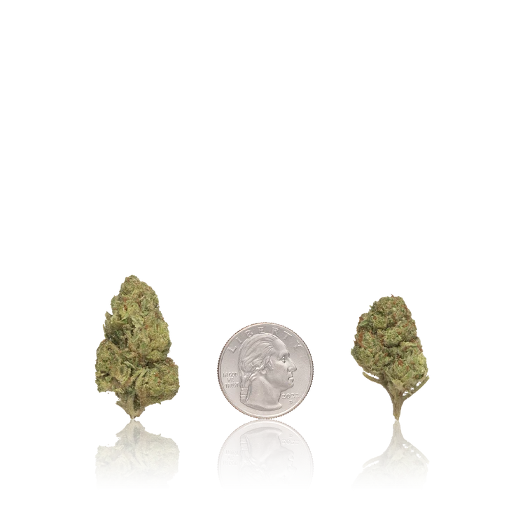 Bulk Budget — Full Pound