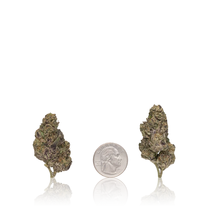 Premium Flower