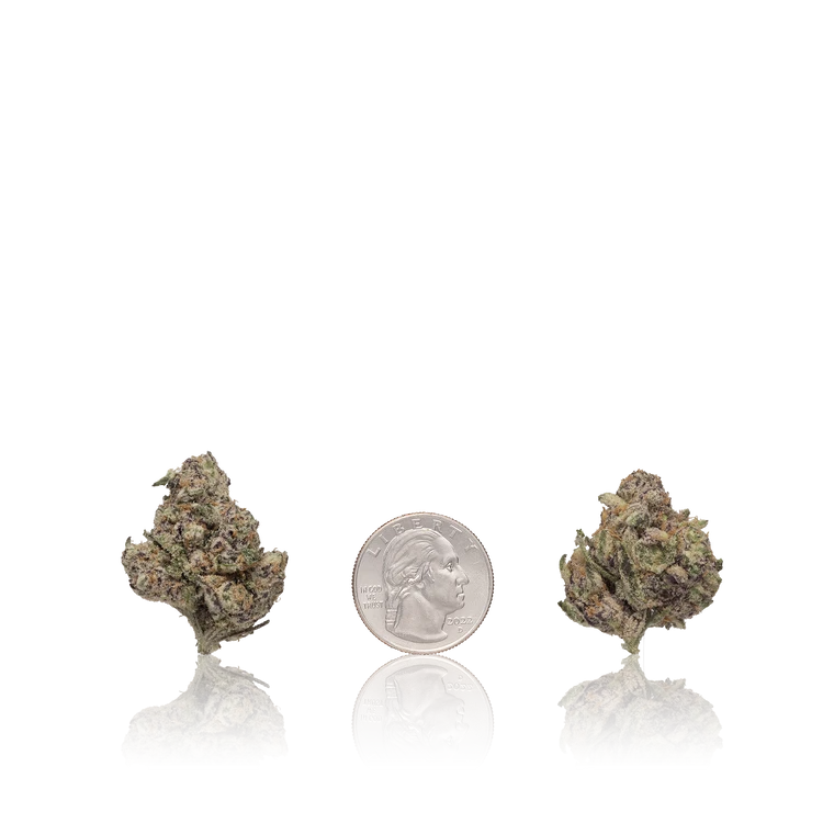 Premium Flower