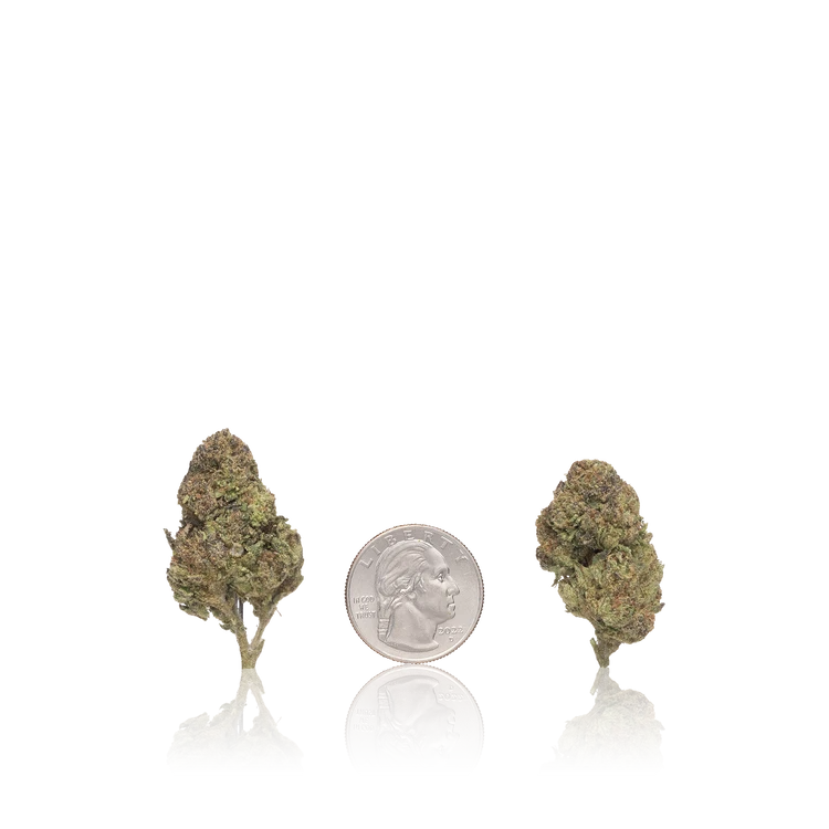 Bulk Value — Full Pound