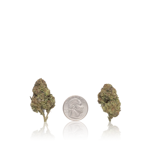 Bulk Value — Full Pound