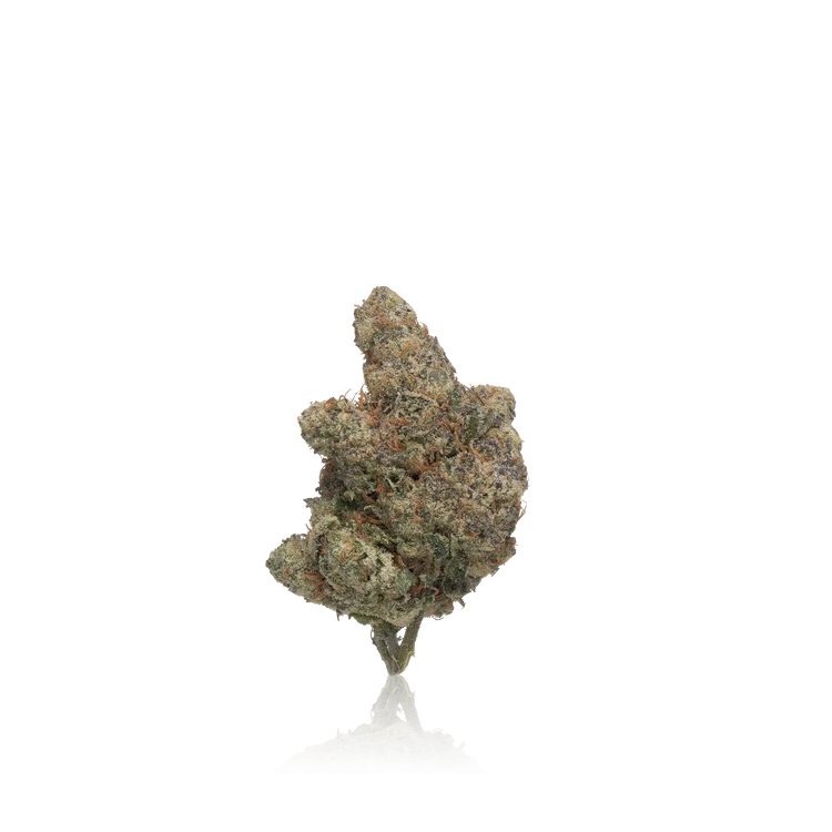 Premium Flower