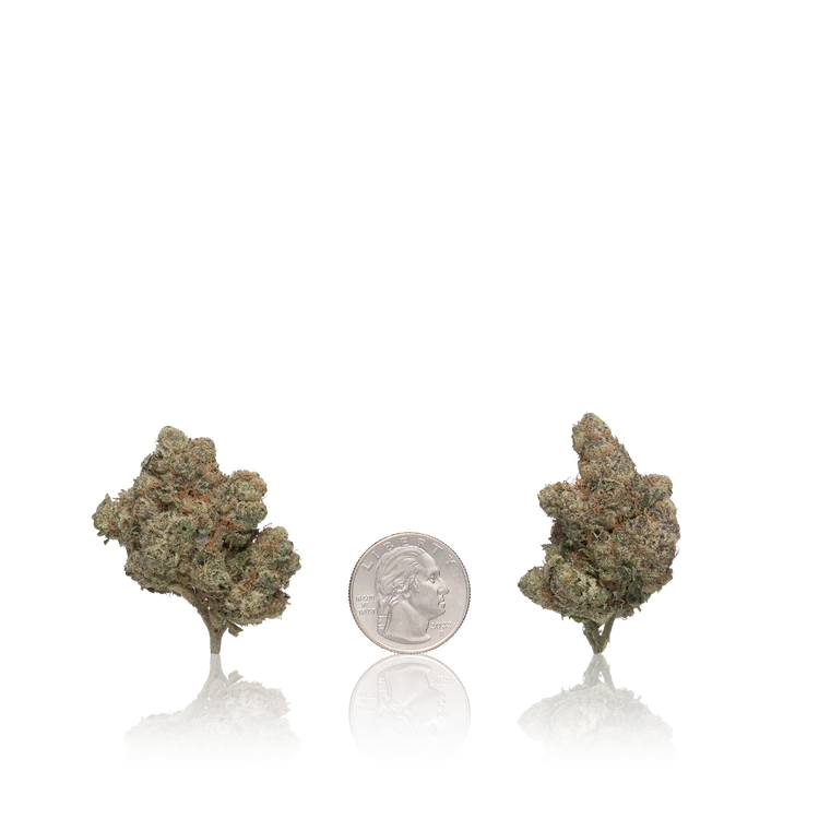 Premium Flower