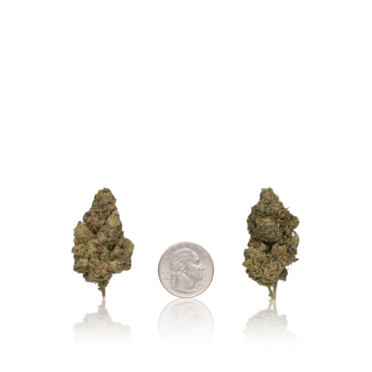 Premium Flower