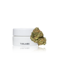 Premium Indoor Flower — Eighths