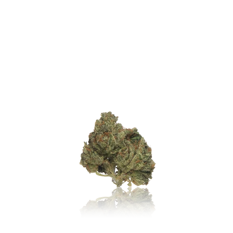Exotic Flower