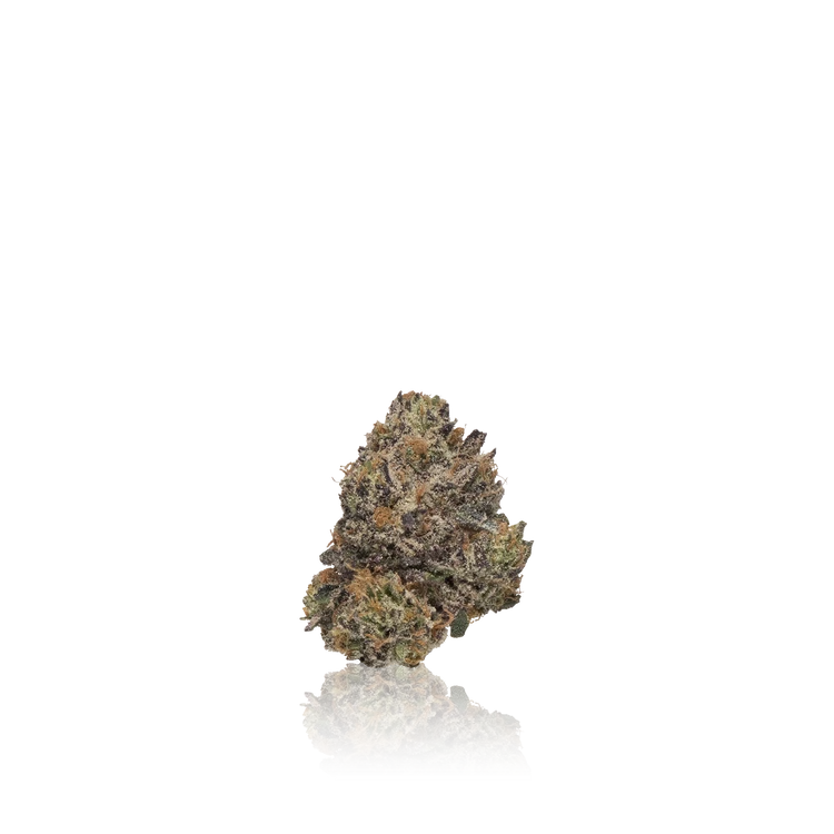 Exotic Flower