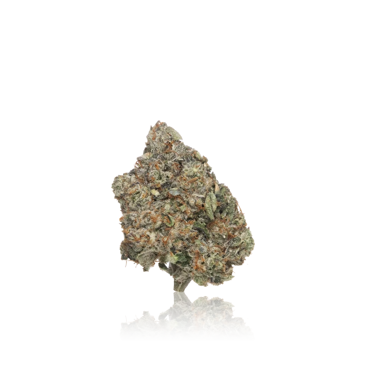 Exotic Flower
