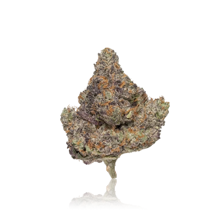 Exotic Flower