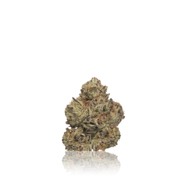 Exotic Flower