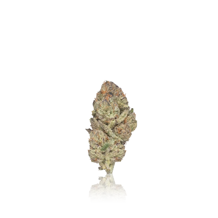 Premium Flower