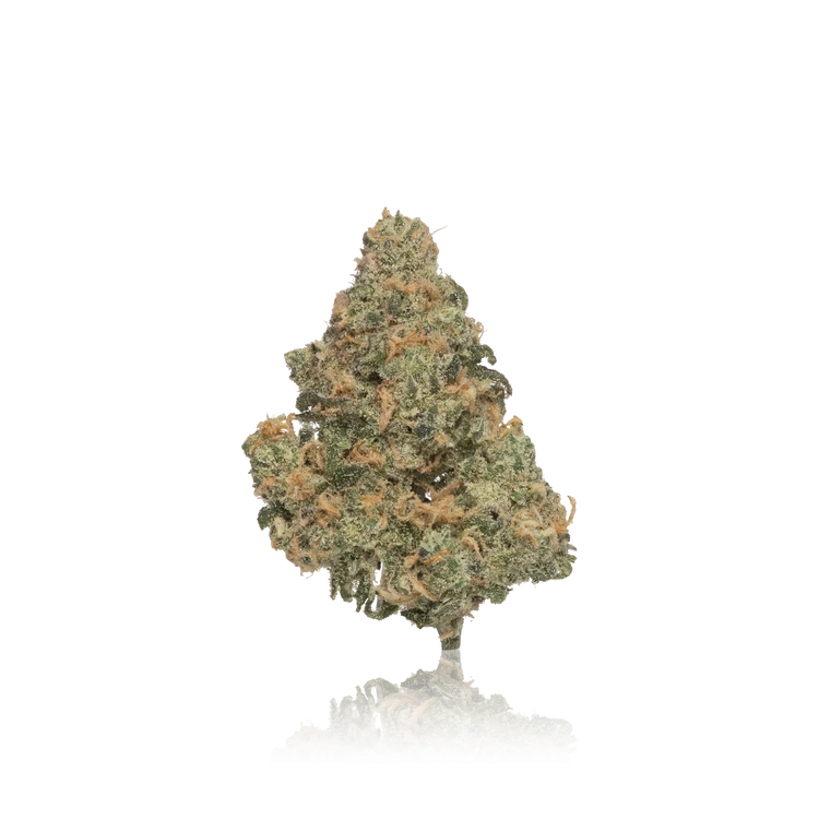 Premium Flower