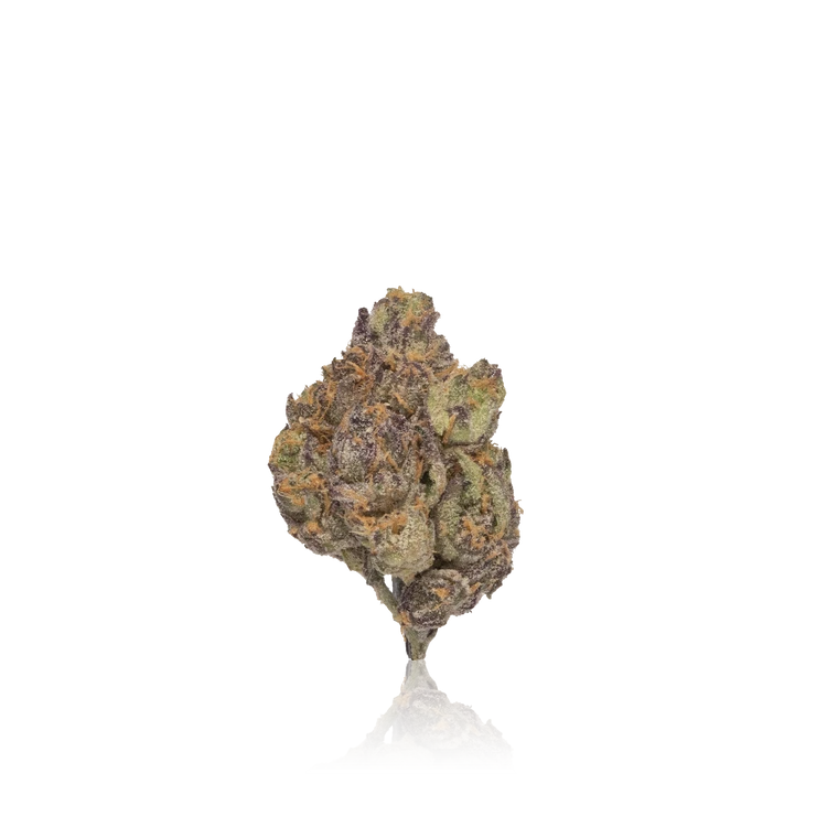 Exotic Flower