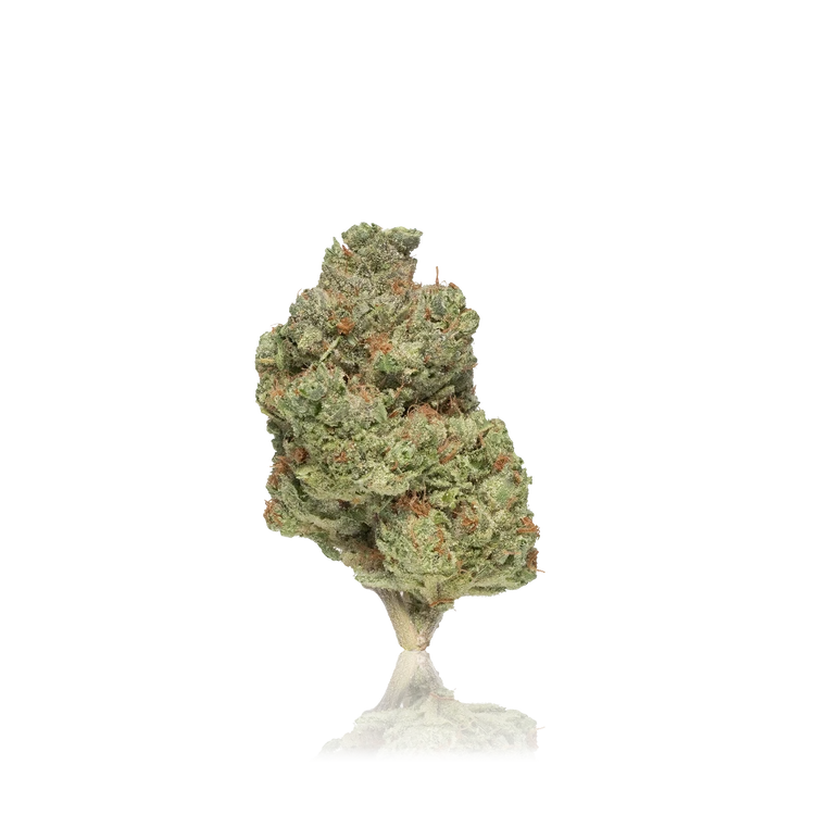 Premium Flower