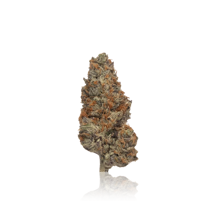 Exotic Flower