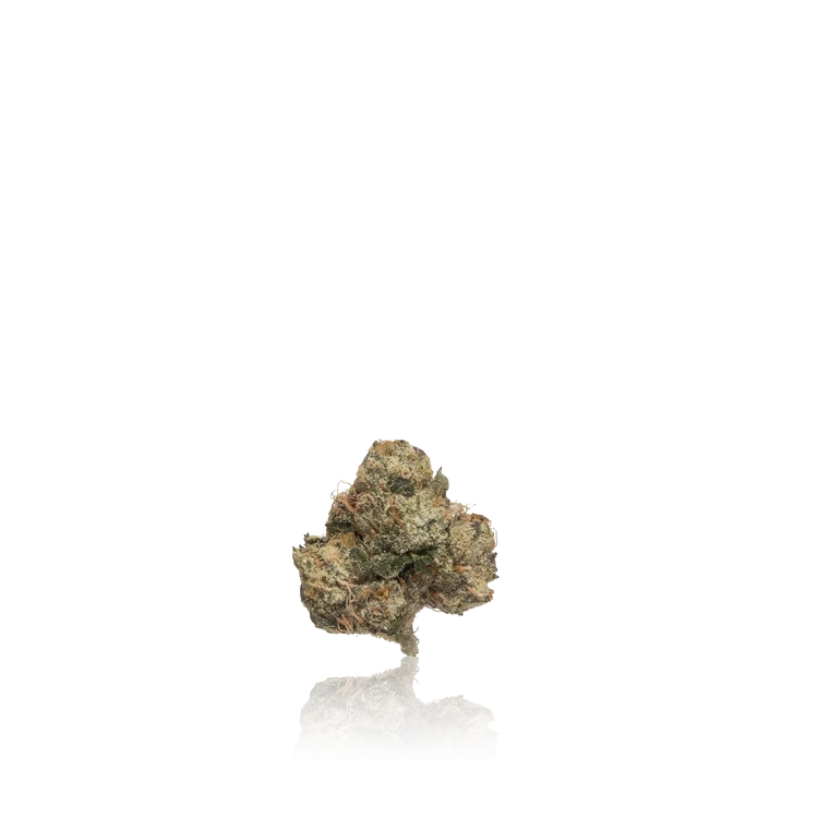 Premium Indoor Flower