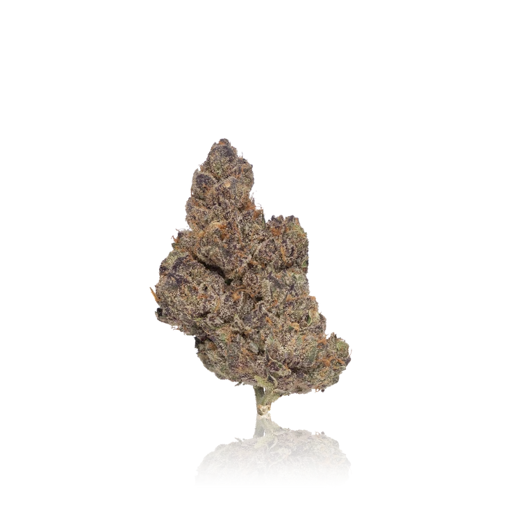Premium Flower