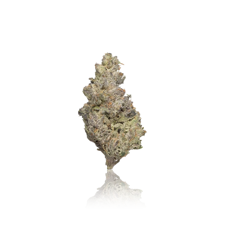 Premium Flower