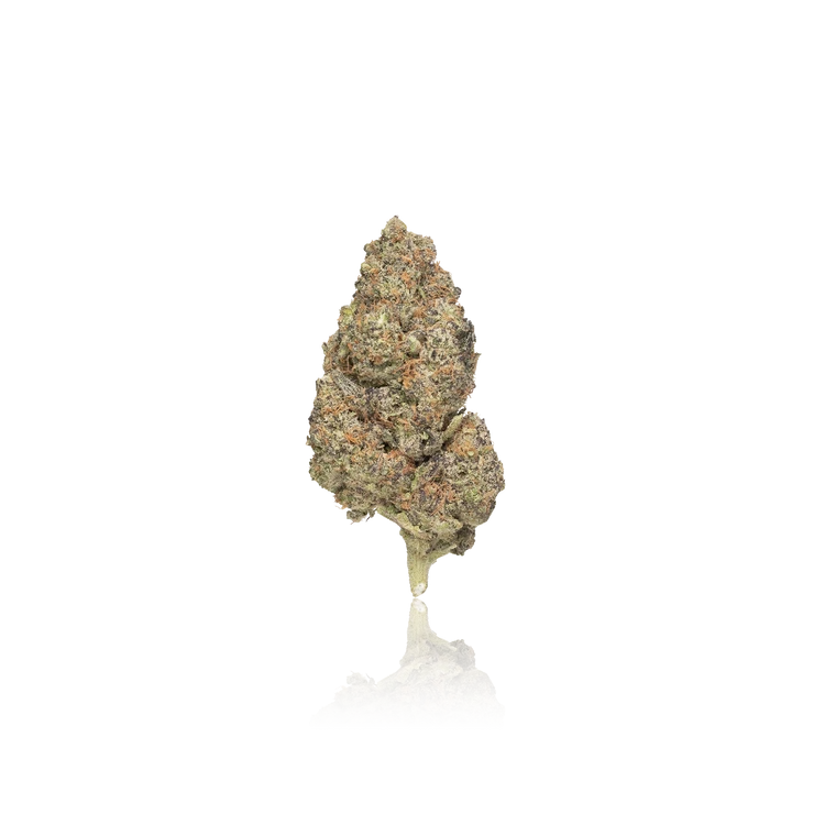 Premium Flower