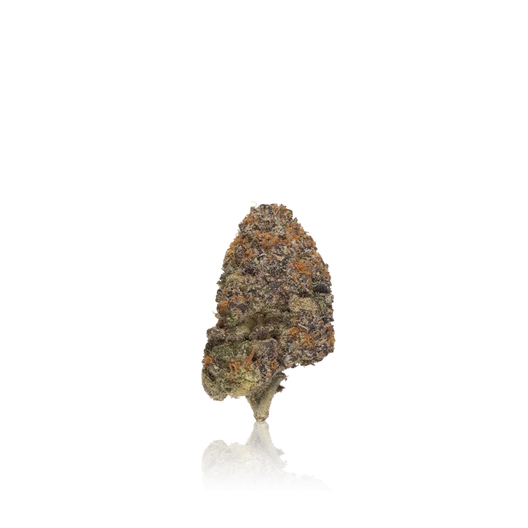 Premium Indoor Flower